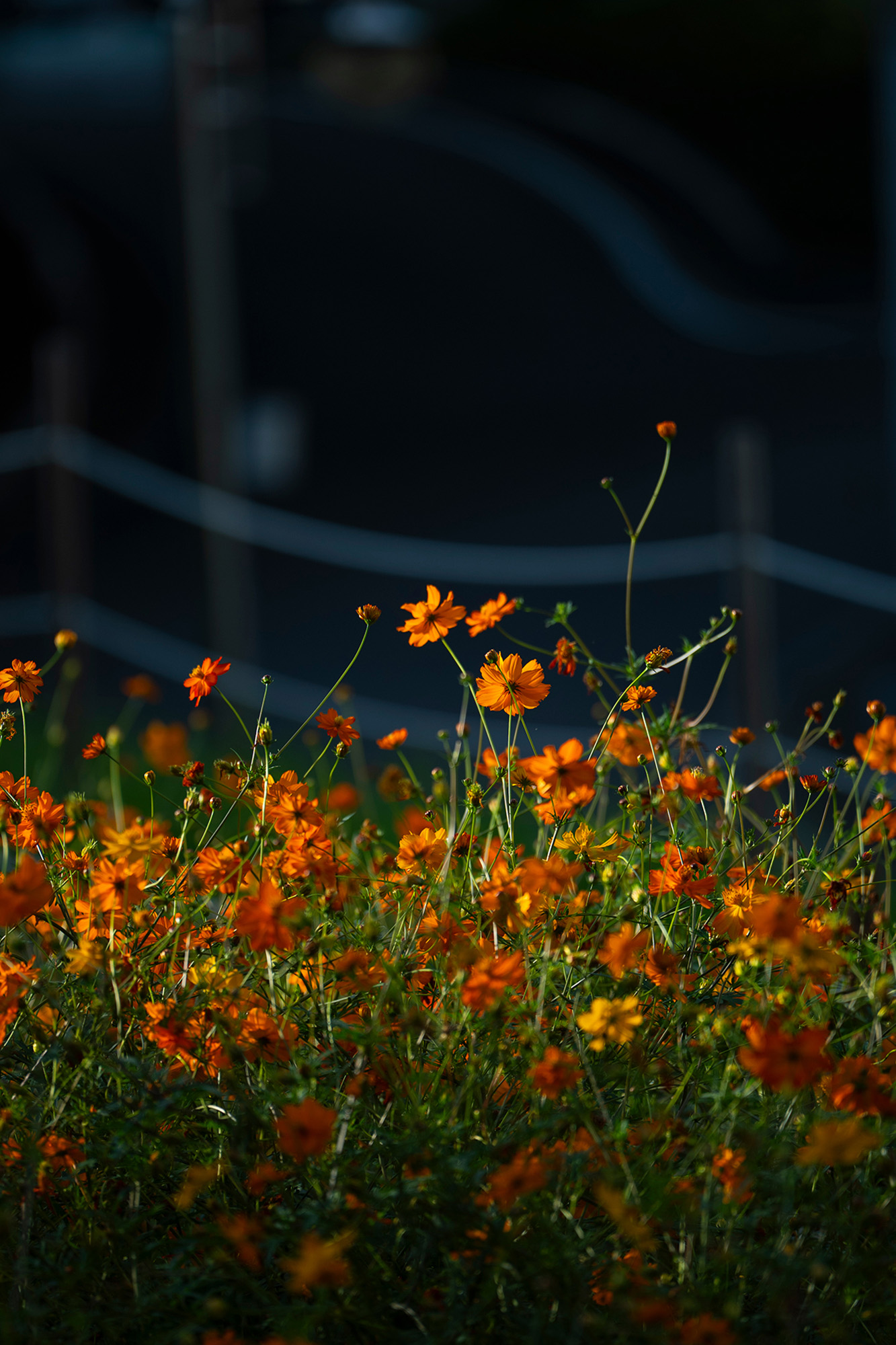 Selected photograph 3